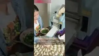 #PuritecMarketing #Dumpling Skin Machine Dumpling Wrapper Maker Small Mold Replaceable