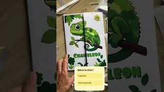 Lapbook - what is this?