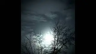 LITHEA - ХОЛОD