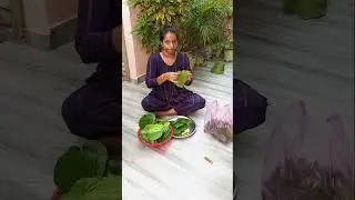 tamalapakula danda 🙏#shortvideos #teluguvlogs #ytshort #sorts
