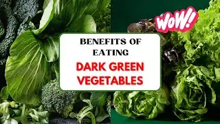 Unlock the POWER of Dark Green Vegetables