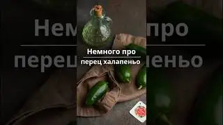 Немного про перец халапеньо #фермеры #фермерскоехозяйство #овощи #перец