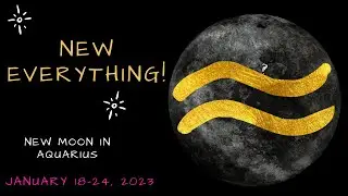 New EVERYTHING! | New Moon in Aquarius Tarot Reading