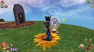 Daily Assignment/ Wizard101