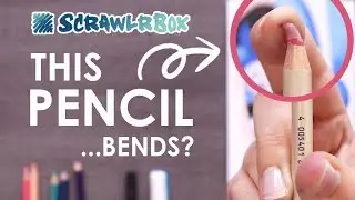 ERASER OR PENCIL?! - June 2018 ScrawlrBox Challenge