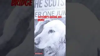 The Mystery Of Overton Bridge- Why do dogs jump to their death?