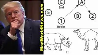 Liberals Freak After Trump Gets Perfect Score On &lsquo;Cognitive Test&rsquo; &mdash; Can You Do It?