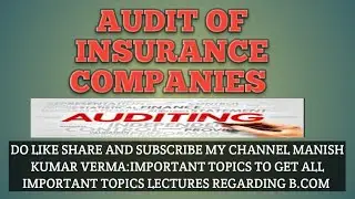 AUDIT OF INSURANCE COMPANY (DETAILED EXPLANATION IN FORM OF WRITTEN NOTES)