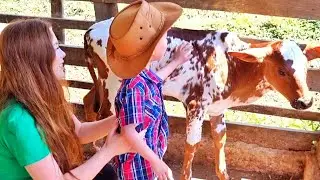 Terra Arada pra plantar/ Davi andando á cavalo/Tio Chicão provou Tereré/ Dicas do Agro e  Pecuaria..
