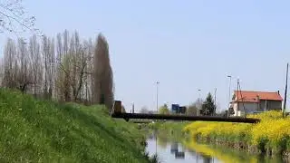 MARZENEGO