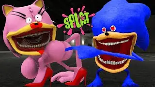 What Really Happens When SHIN SONIC TAPES SLAPS SHIN SONIC AMY XXL TAPES in Garry&rsquo;s Mod!