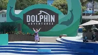 Dolphin Adventures Pre-Show SeaWorld San Diego
