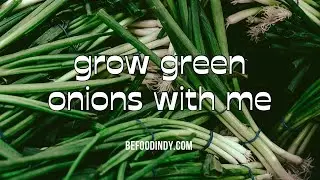 Green onion hack