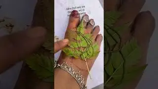 नीम के पत्ता की वायरल मेहंदी वीडियोडिजाइन #viralvideo #youtubeshorts #simplemehndidesign #leafmehndi