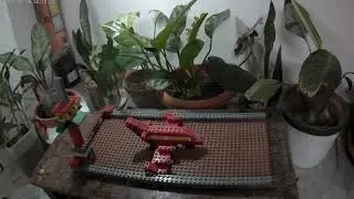 Building Block Airport and plane