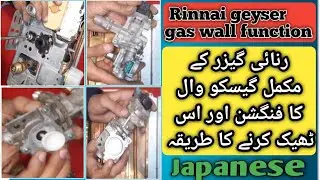 FUNCTIONS OF COMPLETE GAS WALL OF RINNAI GEYSER AND HOW TO FIX IT #functions #gas #wall #rinnai