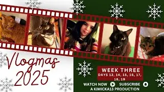Diamond Painting, MORE Christmas Shopping, and CUTEST CATS // Vlogmas 2025 Week Three
