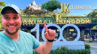 TWO REASONS for a Animal Kingdom Celebration | The Brookhart Project