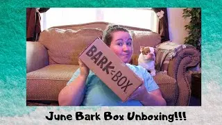 June 2020 Bark Box Unboxing