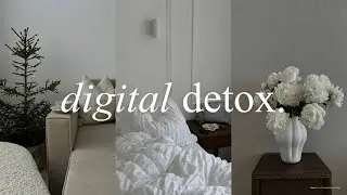 evening lofi ✧ unwind, digital detox & calm focus | chill beats