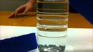 Innovative Recycling Bin