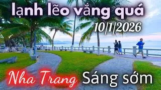Lạnh Ngắt Trên Bờ Biển sáng nay 10/1/2026 , Nha Trang lạnh kỷ lục luôn