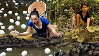 Snail and egg catch for cooking- Squid with mushroom spicy cooking for lunch +3food