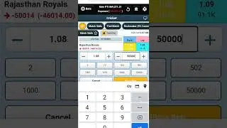 IPL betting