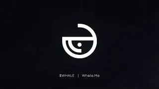 $WHALE 1-Year Anniversary $WHALE Vault Terra Virtua Gallery