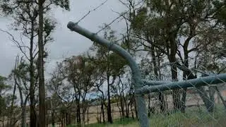 Running: 7km run through bushland and pine reserve