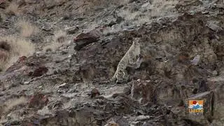 Ladakh Winter Conclave 2020 (Teaser 03)
