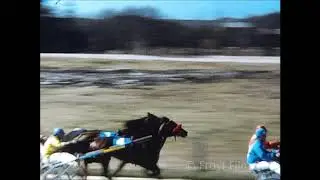 Travl&oslash;p Forus Travbane 1972