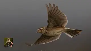 New Nature Reserve Reckki on 