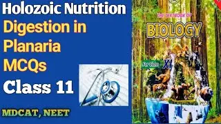 Planaria Holozoic Nutrition MCQs | Digestive System Class 11 | Biology Quiz