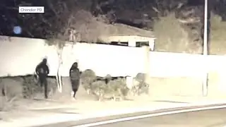 Chandler teens charged after shooting at witness of car break-in attempt