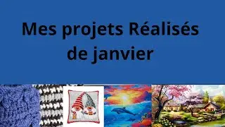 Mes projets realisés en janvier