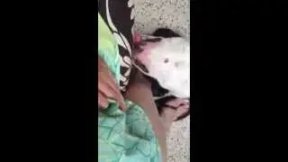 Bastino's Good with Body Handling