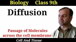 Diffusion || Passage of Molecules across the cell membrane Class 9 and 11
