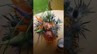 Safary Theme Celebration #akuaevents #luxuryevents #puertorico #event #eventos