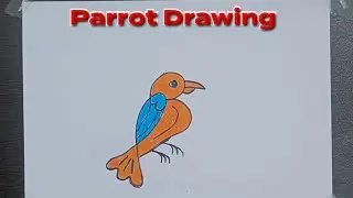How to Turn Number 3  into a Beautiful Parrot 🦜 | Drawing Hack