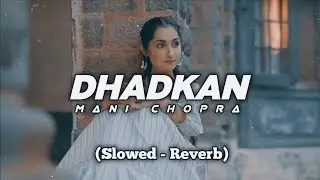 Dhadkan - Mani Chopra ( Slowed - Reverb) Punjabi Song Lofi