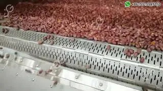 Roasted Peanut Processing Plant, Groundnut Roasting Line Price