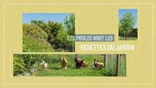 Tendance jardin : mon jardin durable