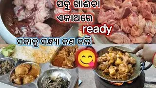 ଆଜି ଦିନଟା ଭରି ଆଇଁସିନିଆ , ସକାଳୁ ସନ୍ଧ୍ୟା କଣ କଲି #daillyvlogger #villagevloger 