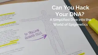Can You Hack Your DNA? A Simplified Dive into the World of Epigenetics
