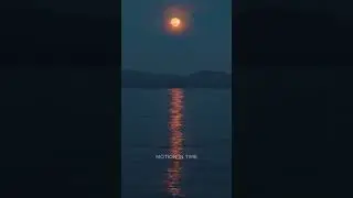 Experience the Magic of Nature! 🌿🌄 #WildNature #4kvideo #oceanwaves #naturetimelapse