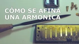 Cómo se afina una armónica - Aprende a mantener tu armónica afinada