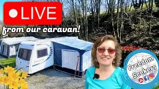 LIVE: Is Being a Campsite Warden Really a Dream Job? | Q&A + Chat
