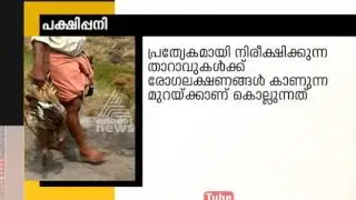Bird flu enters Alappuzha; Affected Ducks are being killed