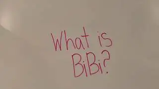 What is BiBi?